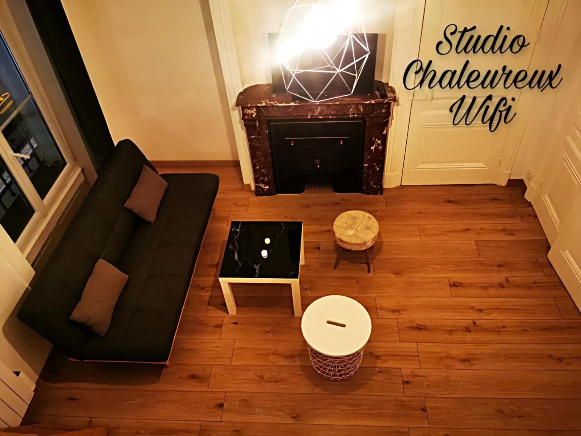 La Croisade-Studio-Hyper Centre Tassin- Suite 1 Eksteriør billede